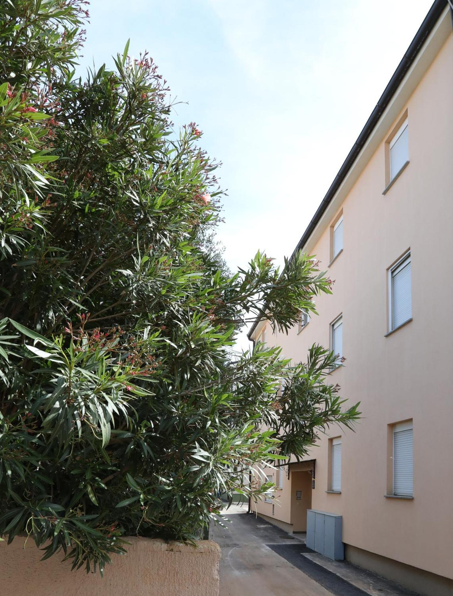 Apartment Loly Медулин Екстериор снимка